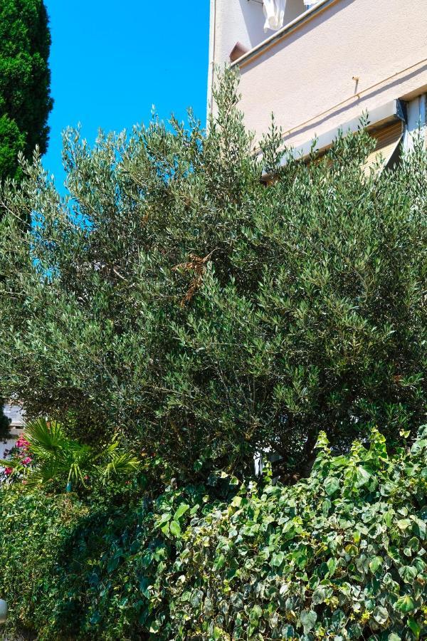 Olive Shade - Apartment Near The Beach スプリト エクステリア 写真