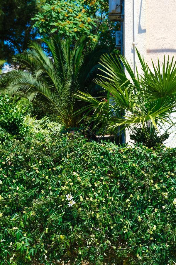 Olive Shade - Apartment Near The Beach スプリト エクステリア 写真